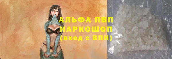мдпв Туринск