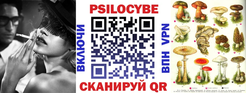 Псилоцибиновые грибы Psilocybe  Окуловка 